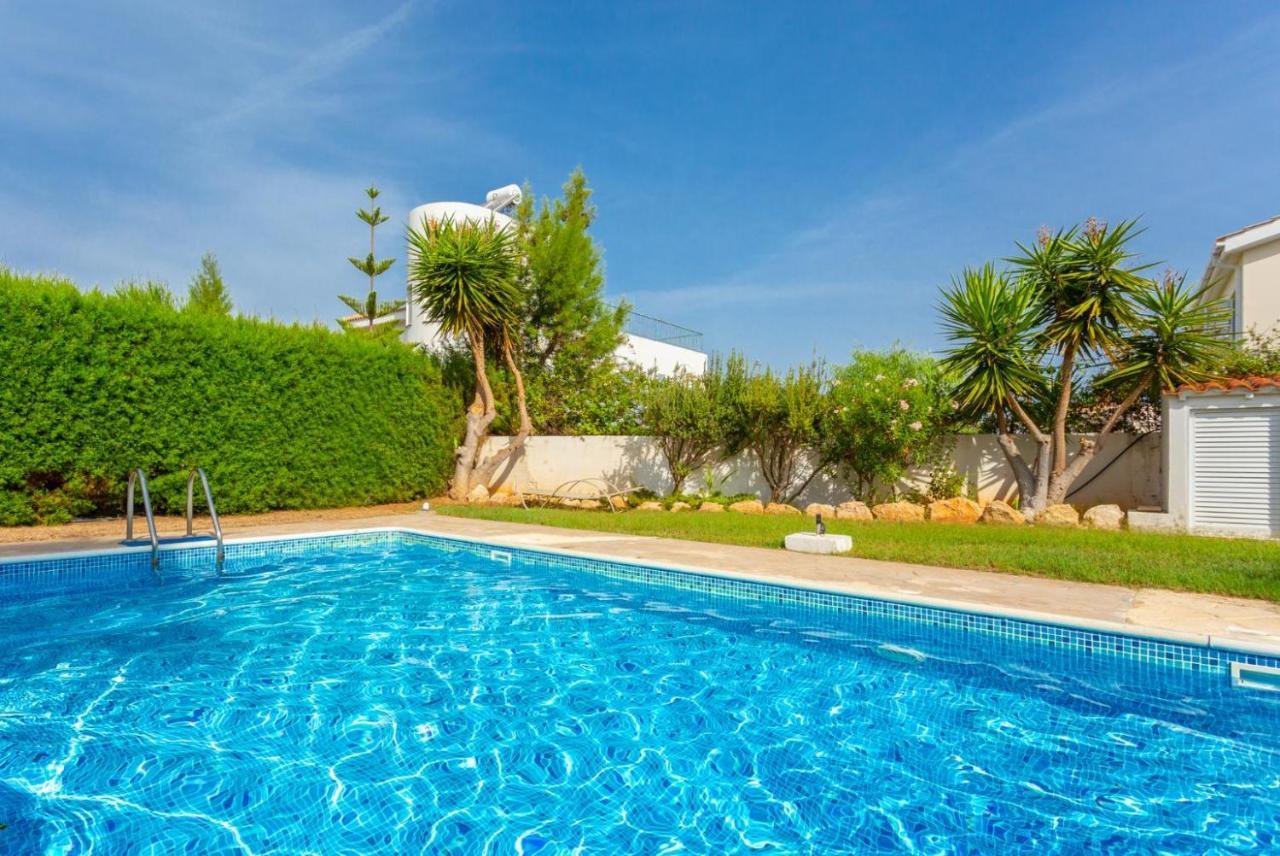 Chrysanthemum Villa Paphos