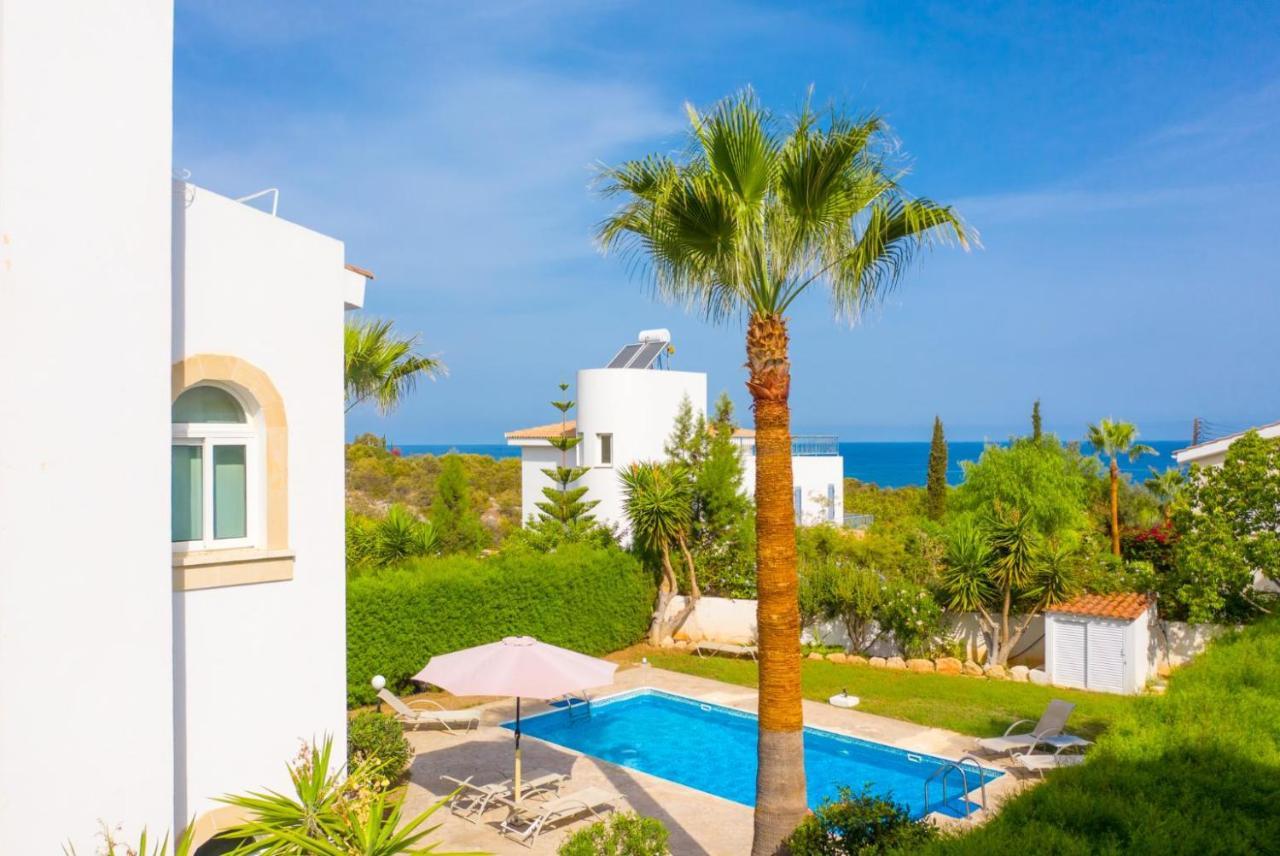 Chrysanthemum Villa *